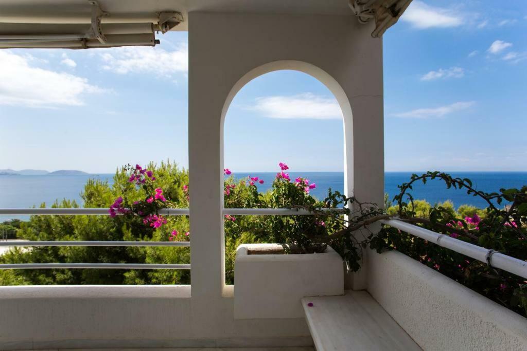 Beautiful, Private Villa By The Sea Agia Marina  Exteriör bild