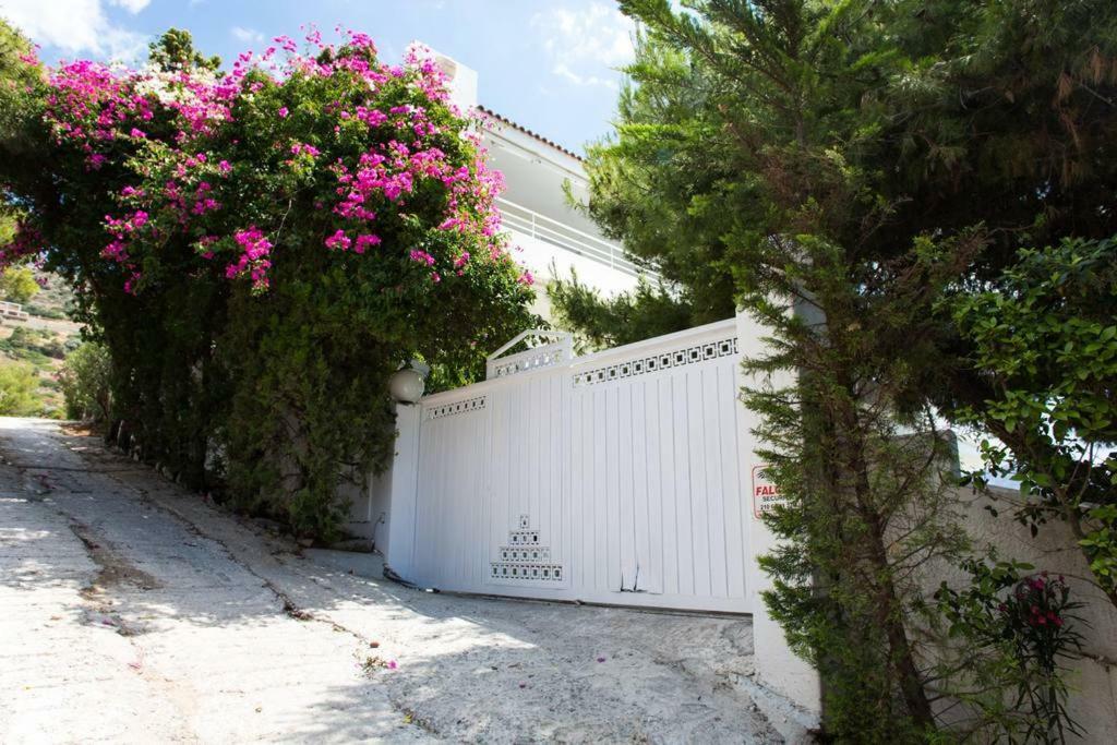 Beautiful, Private Villa By The Sea Agia Marina  Exteriör bild